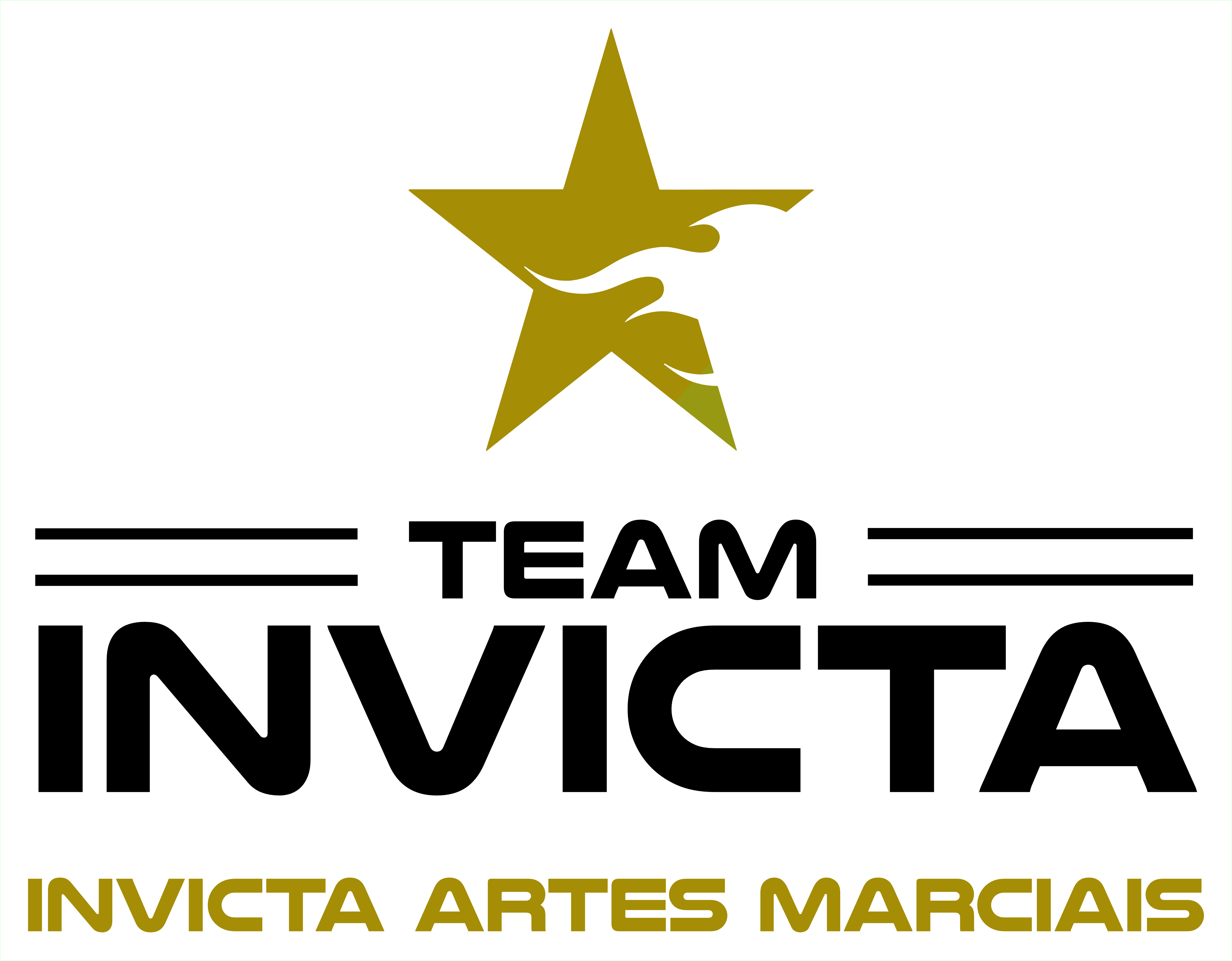 INVICTA Artes Marciais